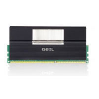Geil 8GB PC3-10660 Kit (GE38GB1333C9DC)